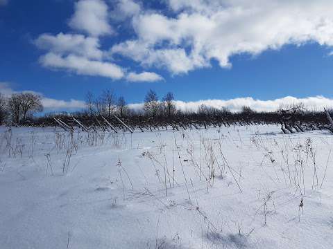 Verger Heath